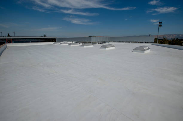 Best Sheet Metal Roofing  in Saltillo, MS