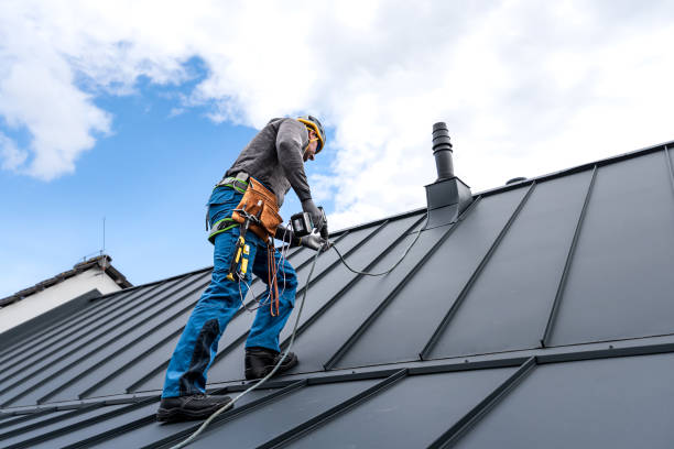 Best Roof Maintenance and Cleaning  in Saltillo, MS